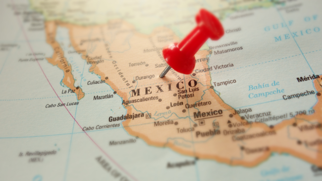 Les avantages V.I.E Imed