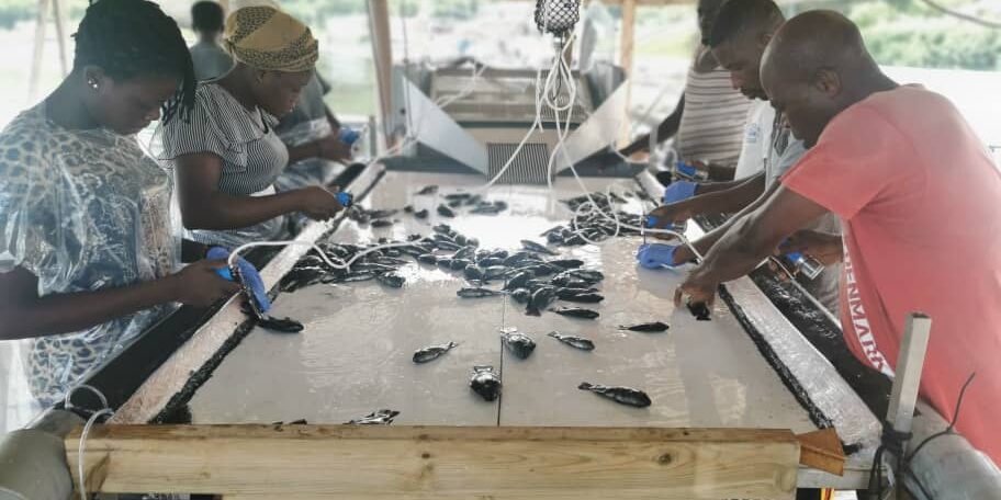 WhatsApp Image 2021-09-28 at 12.04.51 Virbac Côte d'Ivoire