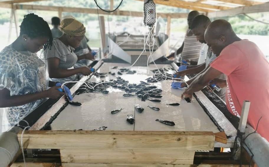 WhatsApp Image 2021-09-28 at 12.04.51 Virbac Côte d'Ivoire