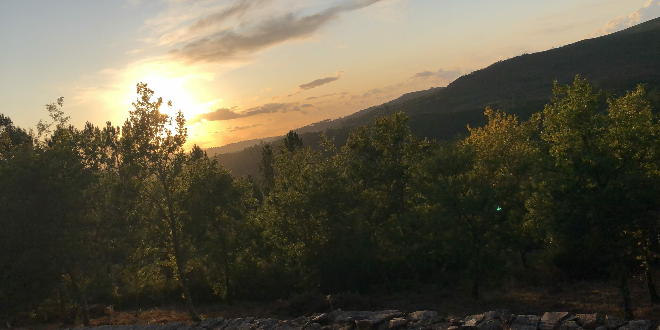 V.I.E Portugal - Viseu