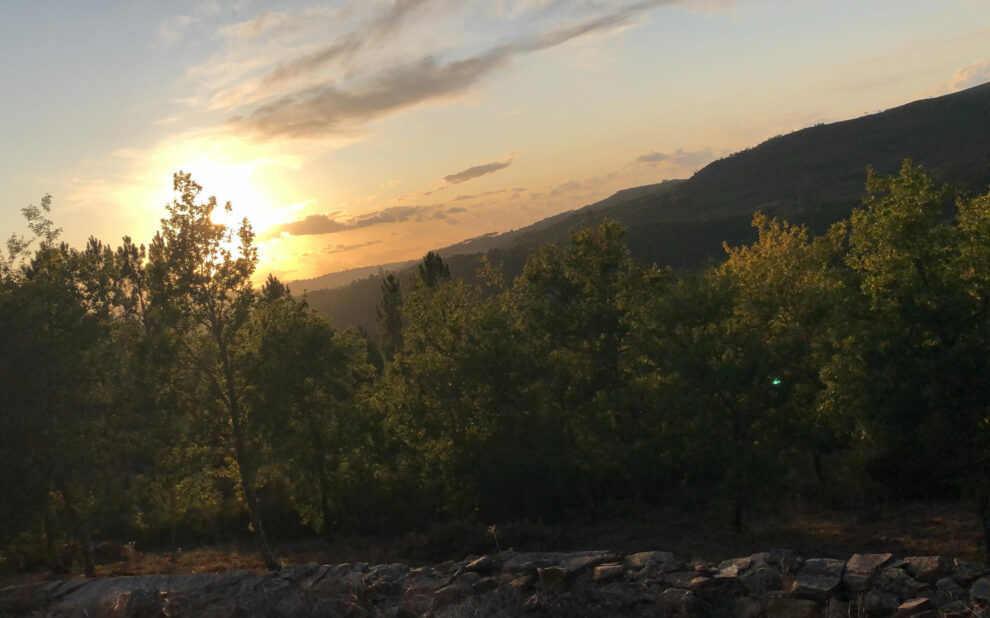 Viseu 4 V.I.E Portugal - Viseu